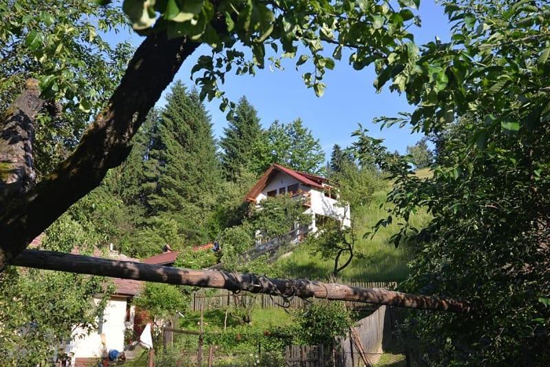 Cabana Vanatorilor Poiana Mărului Exteriér fotografie
