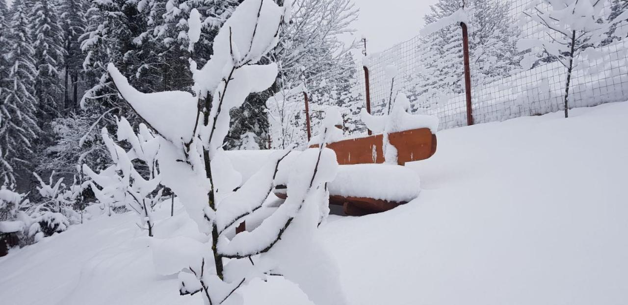 Cabana Vanatorilor Poiana Mărului Exteriér fotografie